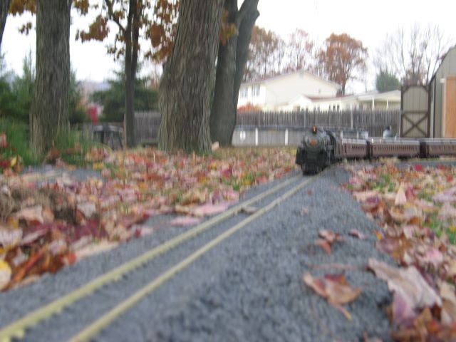 img_0594.jpg